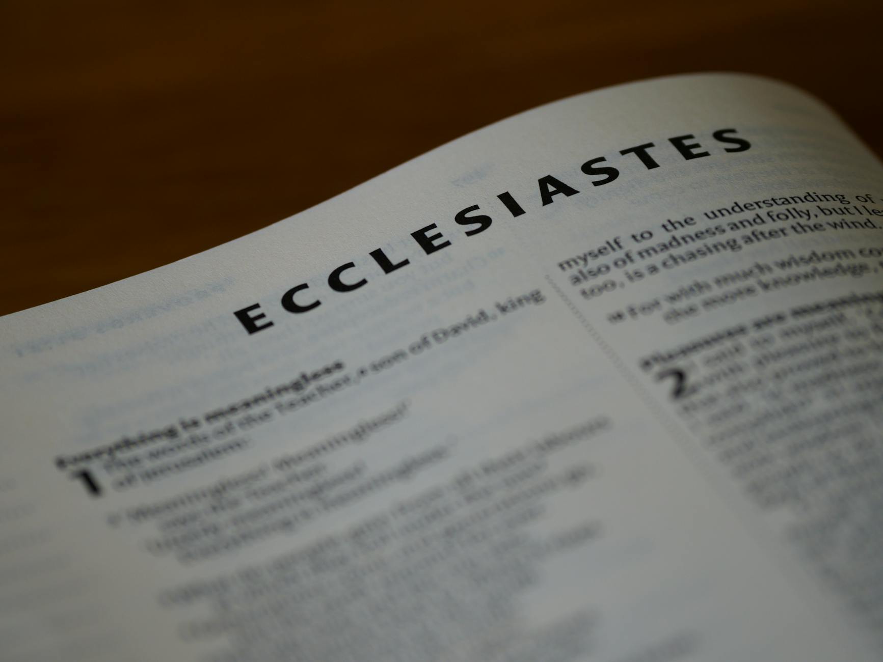 Diario Bíblico: Génesis 14-15 | Melquisedec y Jesús